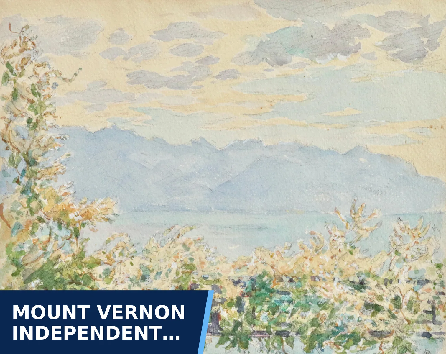 Editorial graphic for Mount Vernon Independent School District