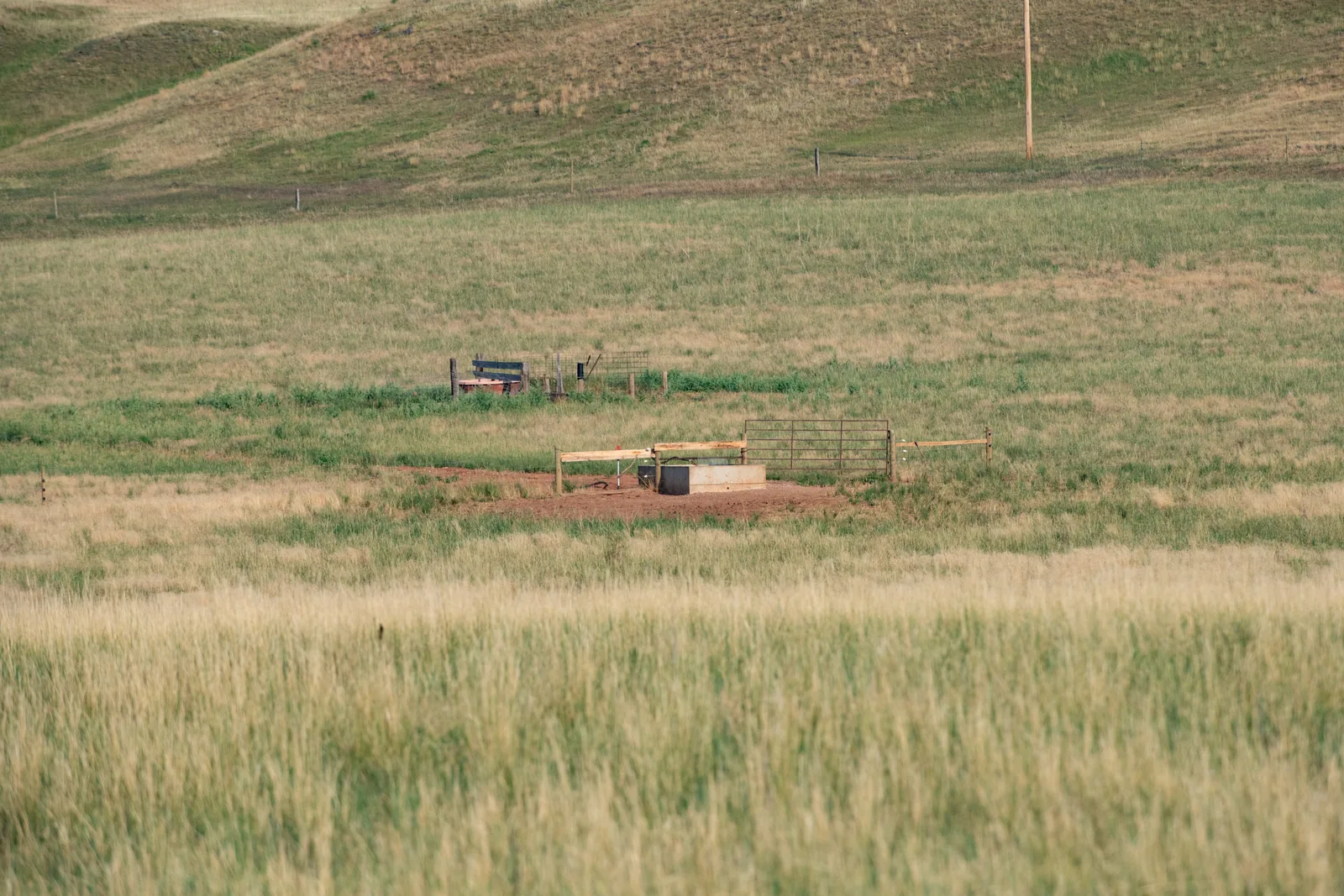 Each of these water troughs serves two pastures at the Jennings Ranch co-owner Eric Jennings, has a 50 head cow-calf operation in Spearfish, SD, on July 22, 2021. In 1989, Eric and Michelle Jennings bought 300 gravelly acres of pasture and a 100-acre field. Then, the operation had more cows, so it was important to have affordable hay to feed them, but even with irrigation from Spearfish Creek, the field was a low-producer of hay. Over the years, the 100-acre field produced a low 0-600 bales per
