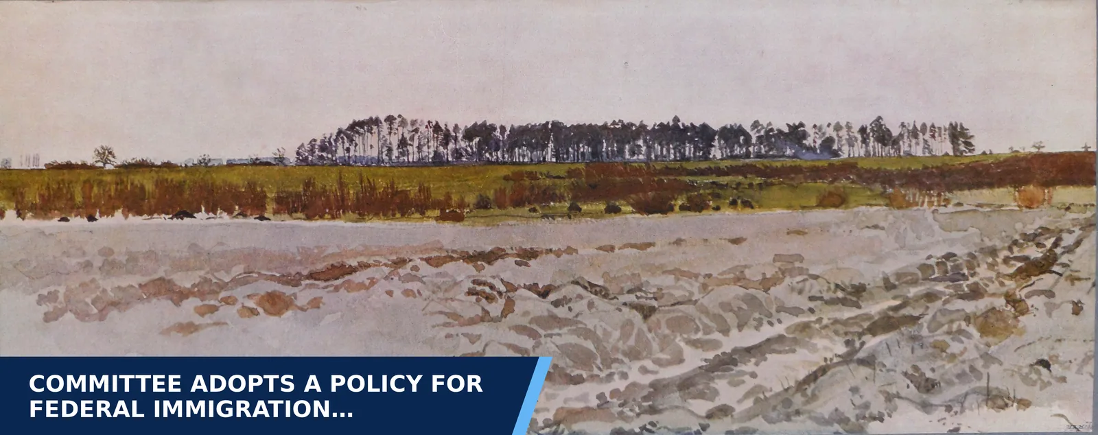 Editorial graphic for Committee adopts a policy for federal immigration…